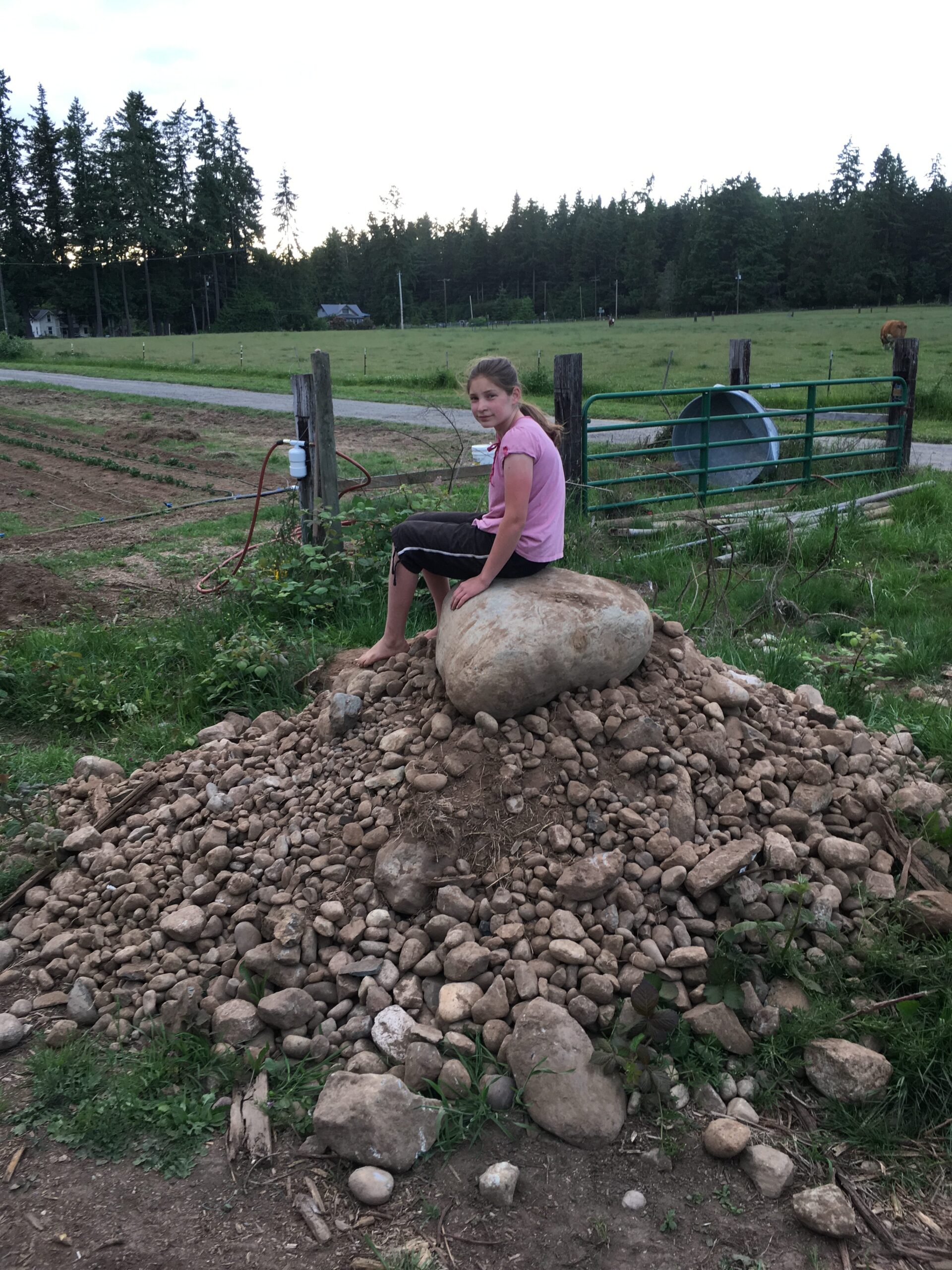 this pile of rocks was picked as we worked the soil this season