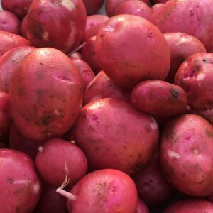 New red potatoes