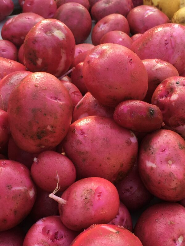 New red potatoes