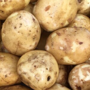 New yellow potatoes