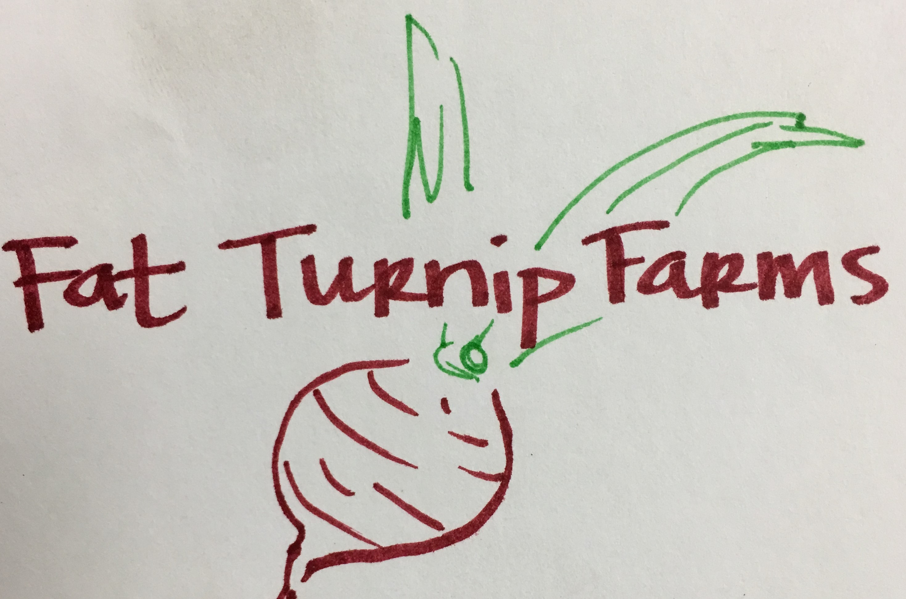Fat Turnip Farms