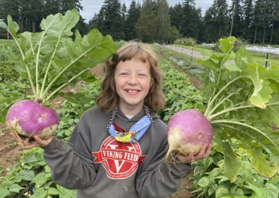 Turnips - organic
