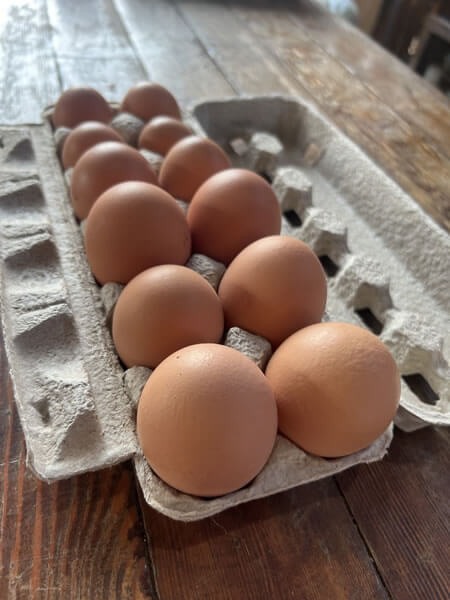 Eggs - Organic, Cage-Free, Brown