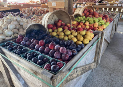 Fruit Bins - Plums, Apples, Pears, Peaches