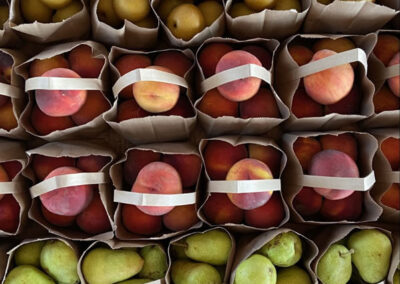 Fruit in Bags - Apples, Pears, Peaches