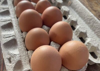 Organic Cage-Free Brown Eggs