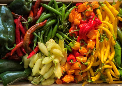 Yellow, orange, red, and green hot peppers.